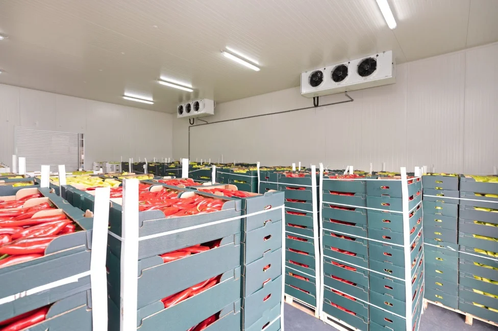food storage facility in cold storage