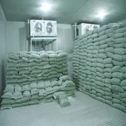 frozen storage