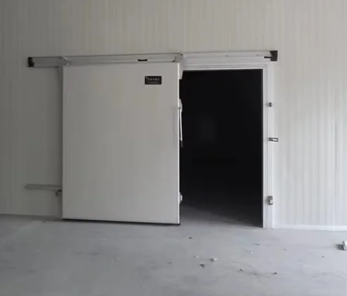 Cold Chain Doors